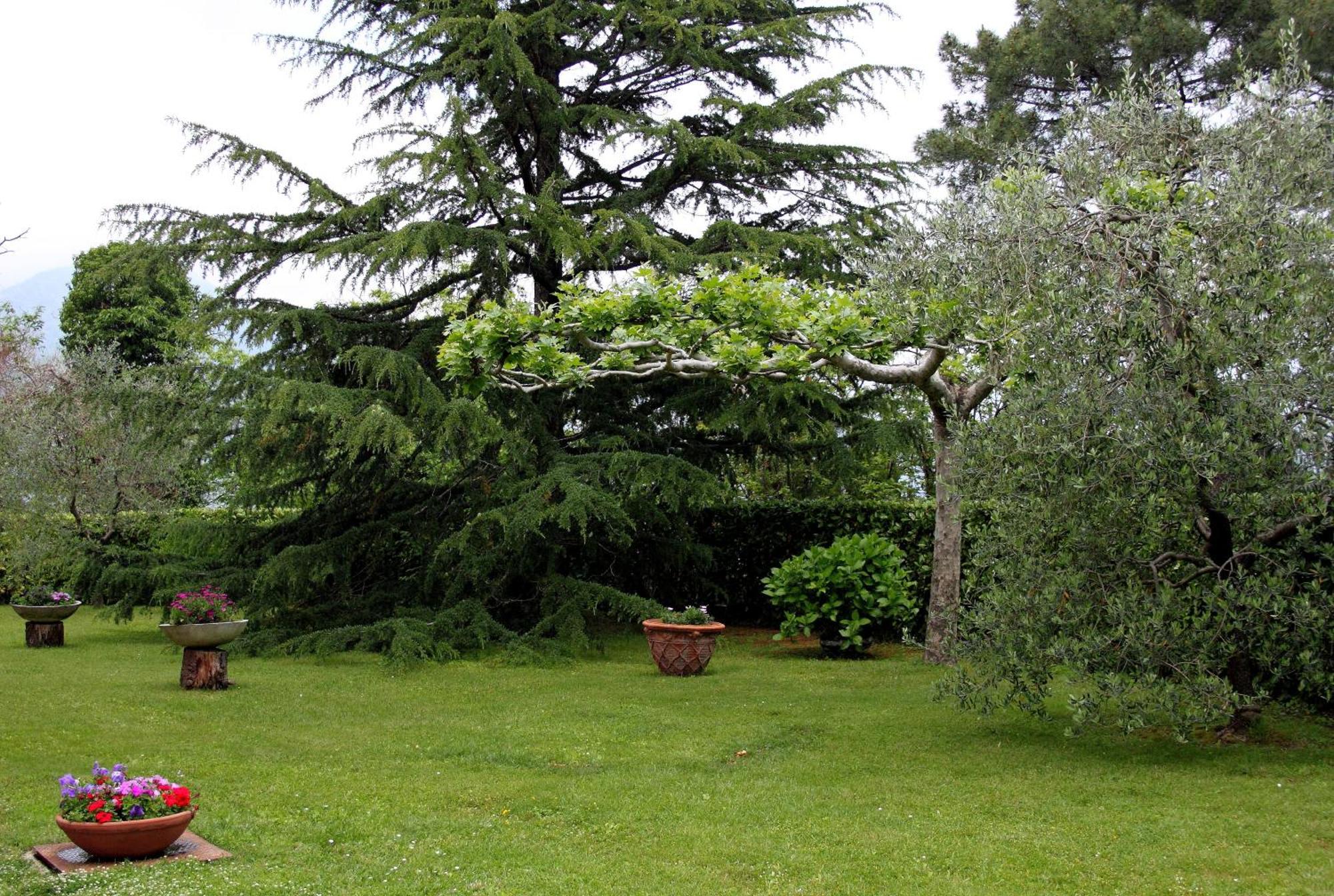 Hotel Il Buongustaio Massa  Exterior foto